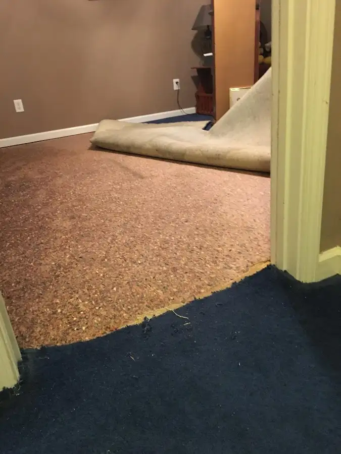 Carpet pad removal revealing water damage during Water Mitigation Services in Bemiss