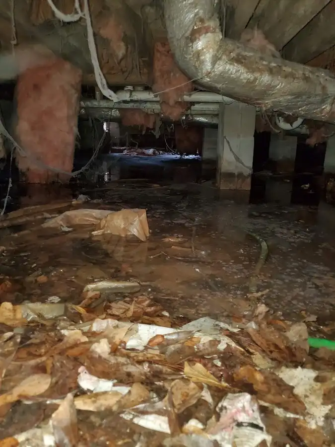 Crawl space flood assessment for Commercial Water Damage Restoration in Bemiss