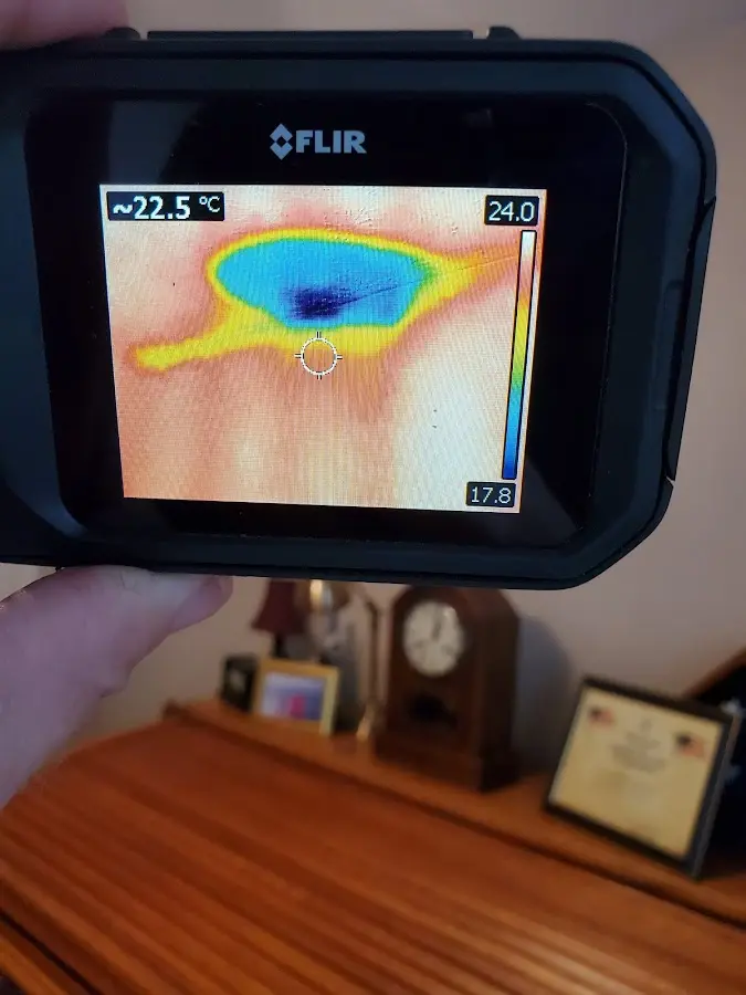 Thermal imaging inspection for water damage in Bemiss