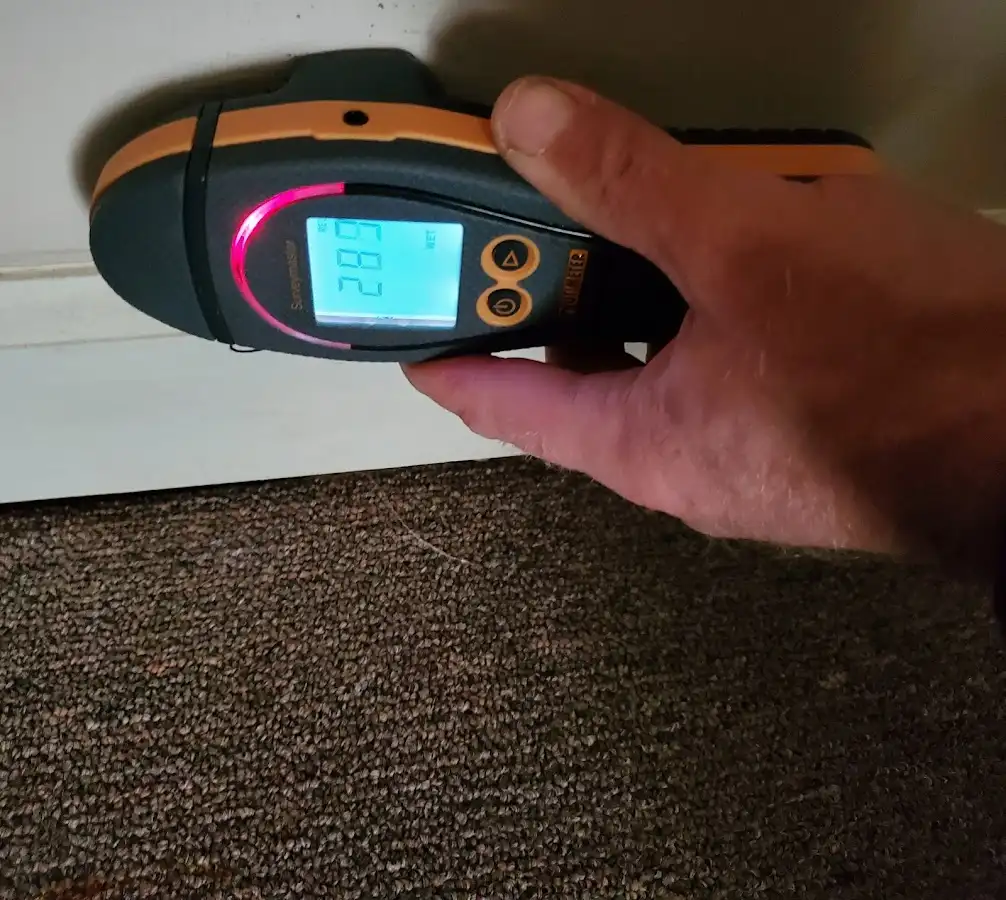 Moisture detection at baseboard during Sewage Cleanup & Sanitation in Bemiss